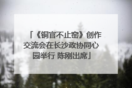 《铜官不止窑》创作交流会在长沙政协同心园举行 陈刚出席