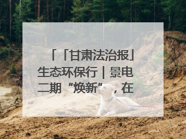 「甘肃法治报」生态环保行｜景电二期“焕新”，在荒漠上筑起一道绿色长城