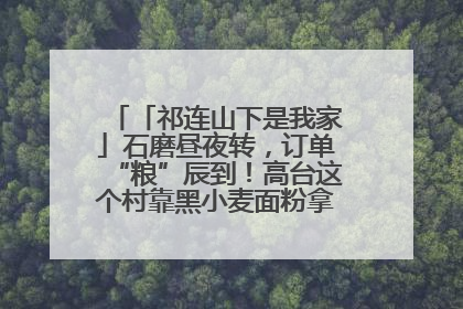 「祁连山下是我家」石磨昼夜转，订单“粮”辰到！高台这个村靠黑小麦面粉拿下成立来最大订单