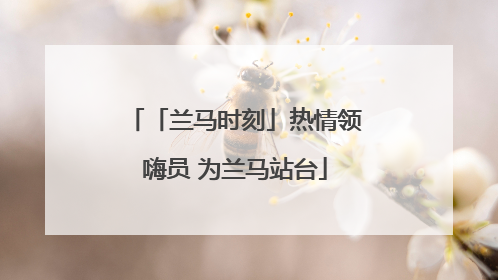 「兰马时刻」热情领嗨员 为兰马站台