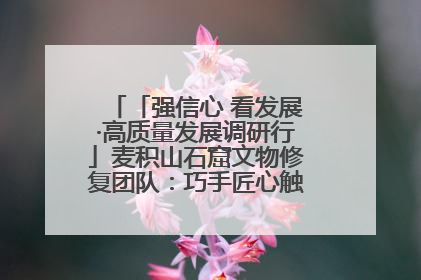 「强信心 看发展·高质量发展调研行」麦积山石窟文物修复团队：巧手匠心触摸“光阴的故事”