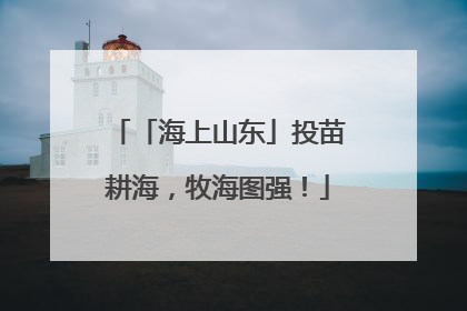 「海上山东」投苗耕海，牧海图强！