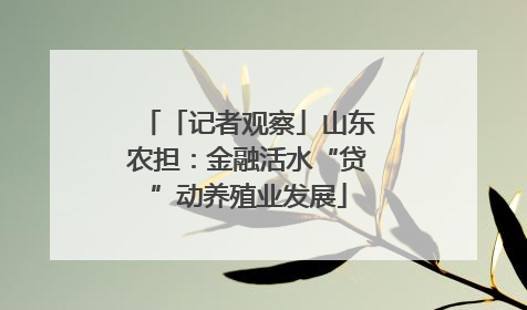 「记者观察」山东农担：金融活水“贷”动养殖业发展