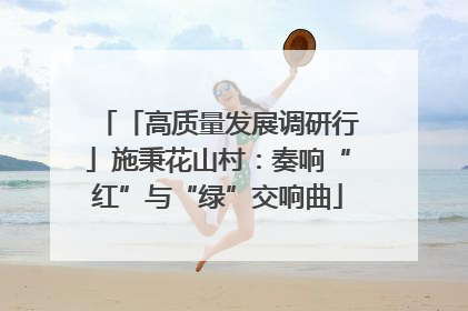 「高质量发展调研行」施秉花山村：奏响“红”与“绿”交响曲