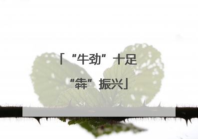 “牛劲”十足“犇”振兴