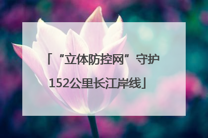 “立体防控网”守护152公里长江岸线