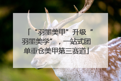 “羽墨美甲”升级“羽墨美学”，一站式团单重仓美甲第三赛道