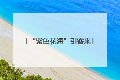 “紫色花海”引客来