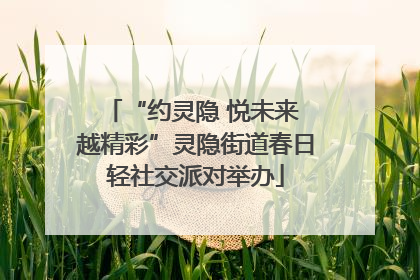 “约灵隐 悦未来 越精彩”灵隐街道春日轻社交派对举办