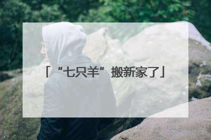 “七只羊”搬新家了