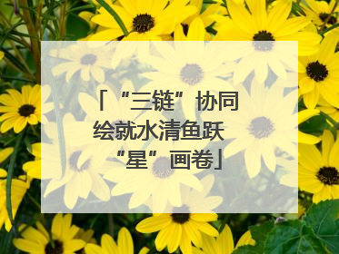 “三链”协同 绘就水清鱼跃“星”画卷