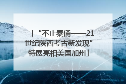 “不止秦俑——21世纪陕西考古新发现”特展亮相美国加州