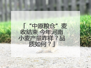 “中原粮仓”麦收结束 今年河南小麦产量咋样？品质如何？