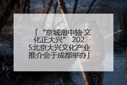 “京城南中轴·文化正大兴” 2025北京大兴文化产业推介会于成都举办