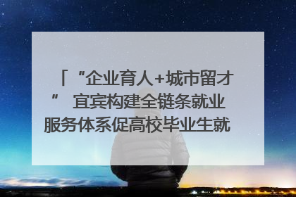 “企业育人+城市留才” 宜宾构建全链条就业服务体系促高校毕业生就业｜您牵挂的四川