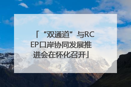 “双通道”与RCEP口岸协同发展推进会在怀化召开