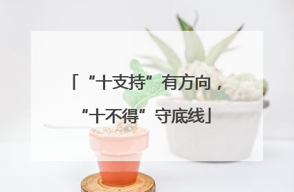 “十支持”有方向，“十不得”守底线