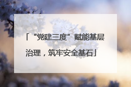 “党建三度”赋能基层治理，筑牢安全基石