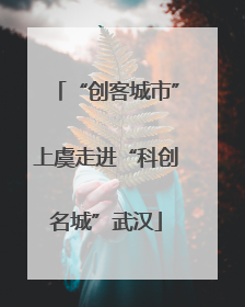 “创客城市”上虞走进“科创名城”武汉