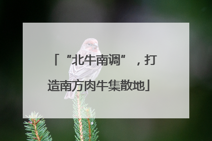 “北牛南调”，打造南方肉牛集散地