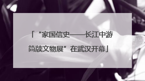 “家国信史——长江中游简牍文物展”在武汉开幕
