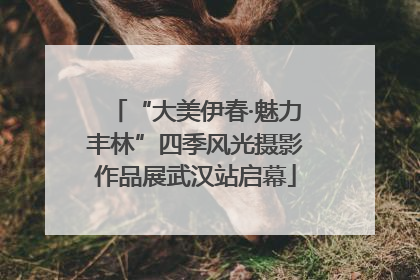 “大美伊春·魅力丰林”四季风光摄影作品展武汉站启幕