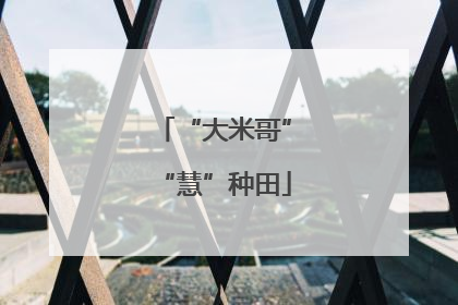 “大米哥”“慧”种田