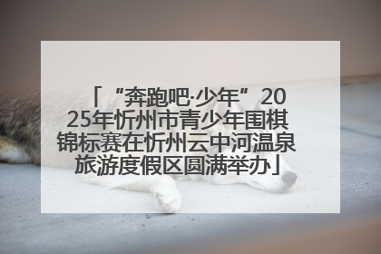 “奔跑吧·少年”2025年忻州市青少年围棋锦标赛在忻州云中河温泉旅游度假区圆满举办