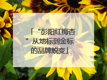 “彭阳红梅杏”从地标到金标的品牌蜕变