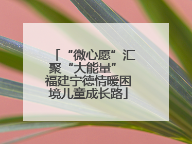 “微心愿”汇聚“大能量” 福建宁德情暖困境儿童成长路