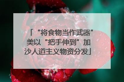 “将食物当作武器” 美以“把手伸到”加沙人道主义物资分发