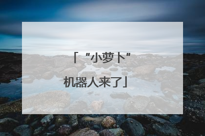 “小萝卜”机器人来了