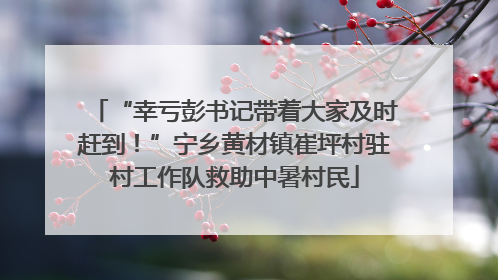 “幸亏彭书记带着大家及时赶到！”宁乡黄材镇崔坪村驻村工作队救助中暑村民