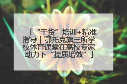 “干货”培训+精准指导丨鄂托克旗三所学校体育课堂在高校专家助力下“提质增效”