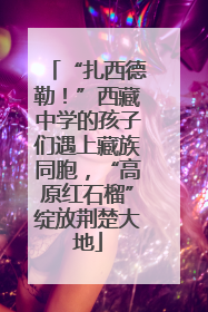 “扎西德勒！”西藏中学的孩子们遇上藏族同胞，“高原红石榴”绽放荆楚大地