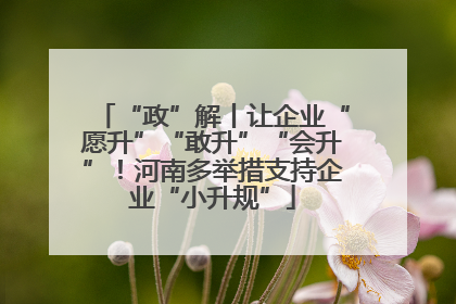 “政”解丨让企业“愿升”“敢升”“会升”！河南多举措支持企业“小升规”