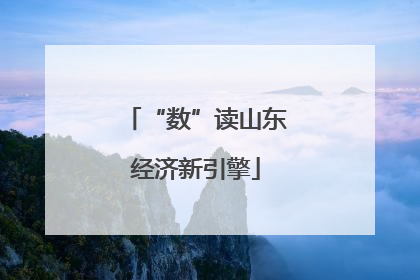 “数”读山东经济新引擎