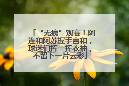 “无痕”观赛！阿连和阿苏握手言和，球迷们挥一挥衣袖，不留下一片云彩