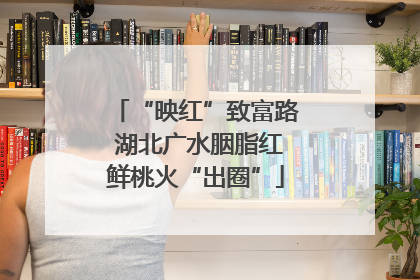 “映红”致富路 湖北广水胭脂红鲜桃火“出圈”