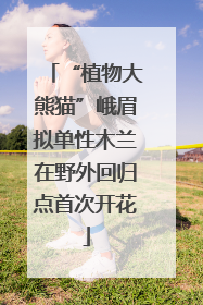 “植物大熊猫”峨眉拟单性木兰在野外回归点首次开花