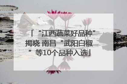 “江西蔬菜好品种”揭晓 南昌“武阳白椒”等10个品种入选