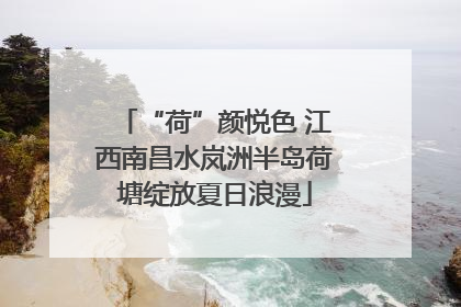 “荷”颜悦色 江西南昌水岚洲半岛荷塘绽放夏日浪漫