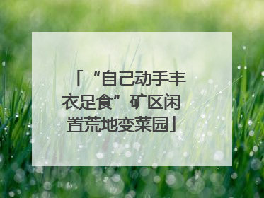 “自己动手丰衣足食”矿区闲置荒地变菜园