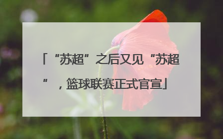 “苏超”之后又见“苏超”，篮球联赛正式官宣