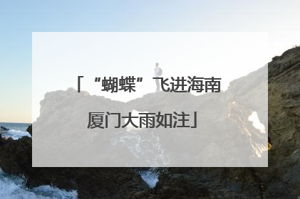 “蝴蝶”飞进海南 厦门大雨如注