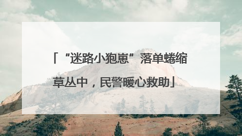 “迷路小狍崽”落单蜷缩草丛中，民警暖心救助