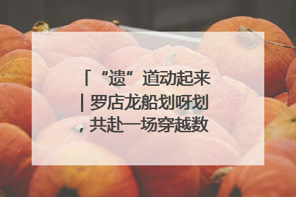 “遗”道动起来｜罗店龙船划呀划，共赴一场穿越数百年的端午之约
