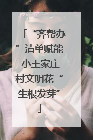 “齐帮办”清单赋能 小王家庄村文明花“生根发芽”