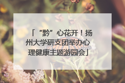 “黔”心花开！扬州大学研支团举办心理健康主题游园会