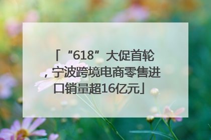 “618”大促首轮，宁波跨境电商零售进口销量超16亿元